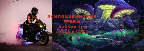 spice Аркадак