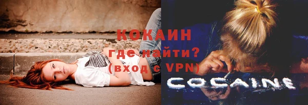 spice Аркадак