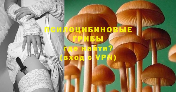 spice Аркадак